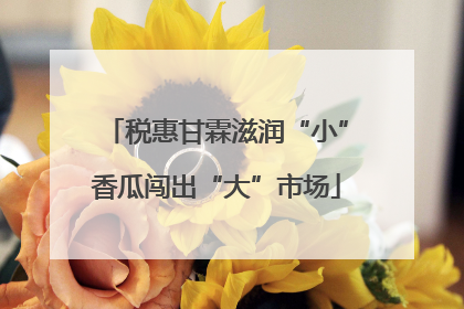 税惠甘霖滋润“小”香瓜闯出“大”市场