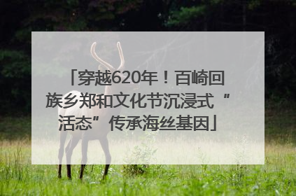 穿越620年！百崎回族乡郑和文化节沉浸式“活态”传承海丝基因