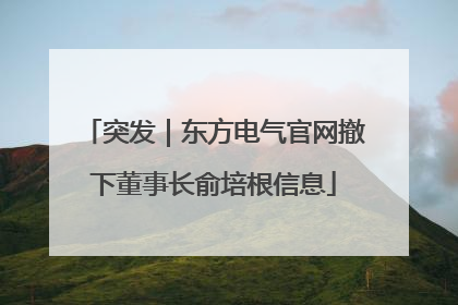 突发｜东方电气官网撤下董事长俞培根信息
