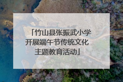 竹山县张振武小学开展端午节传统文化主题教育活动