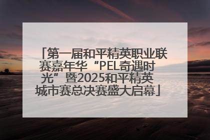 第一届和平精英职业联赛嘉年华“PEL奇遇时光”暨2025和平精英城市赛总决赛盛大启幕