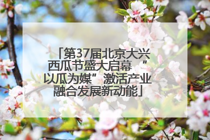 第37届北京大兴西瓜节盛大启幕 “以瓜为媒”激活产业融合发展新动能