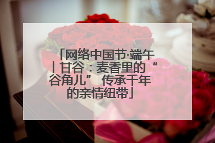 网络中国节·端午丨甘谷：麦香里的“谷角儿” 传承千年的亲情纽带