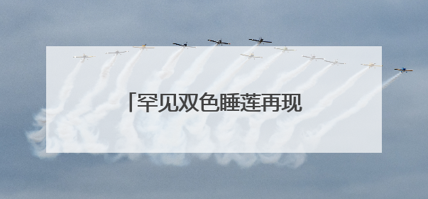 罕见双色睡莲再现济南大明湖，网友直呼“好运莲莲”