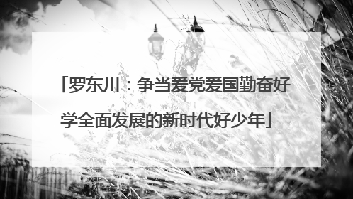 罗东川：争当爱党爱国勤奋好学全面发展的新时代好少年