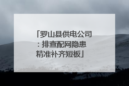 罗山县供电公司：排查配网隐患 精准补齐短板