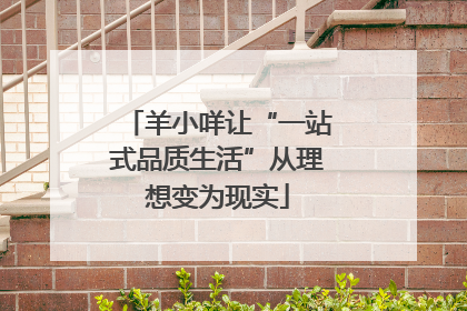 羊小咩让“一站式品质生活”从理想变为现实