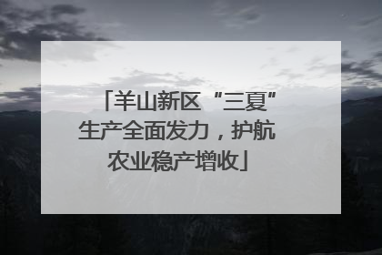 羊山新区“三夏”生产全面发力，护航农业稳产增收