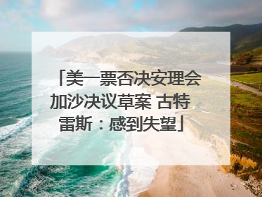 美一票否决安理会加沙决议草案 古特雷斯：感到失望