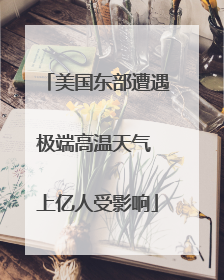 美国东部遭遇极端高温天气 上亿人受影响