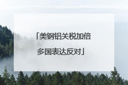 美钢铝关税加倍 多国表达反对