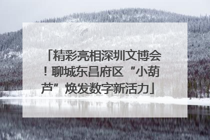 精彩亮相深圳文博会！聊城东昌府区“小葫芦”焕发数字新活力