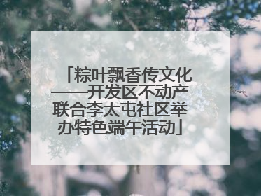 粽叶飘香传文化——开发区不动产联合李太屯社区举办特色端午活动