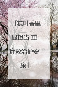 粽叶香里显担当 重症救治护安康