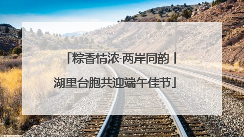 粽香情浓·两岸同韵丨湖里台胞共迎端午佳节