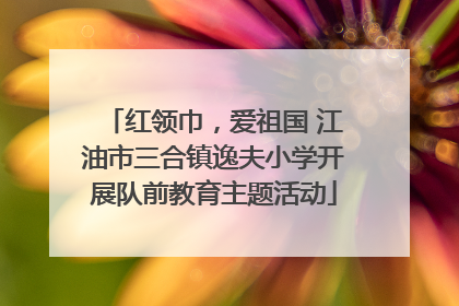 红领巾，爱祖国 江油市三合镇逸夫小学开展队前教育主题活动