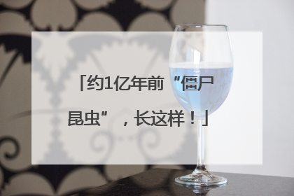 约1亿年前“僵尸昆虫”，长这样！