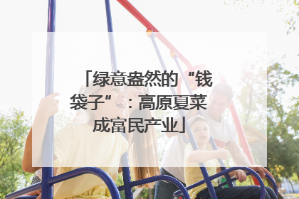 绿意盎然的“钱袋子”：高原夏菜成富民产业