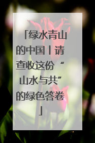 绿水青山的中国丨请查收这份“山水与共”的绿色答卷