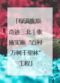 绿满陇原·奇迹三北｜张掖实施“百村万树千里林”工程