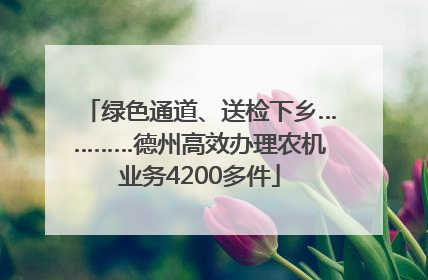 绿色通道、送检下乡…………德州高效办理农机业务4200多件