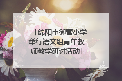 绵阳市御营小学举行语文组青年教师教学研讨活动