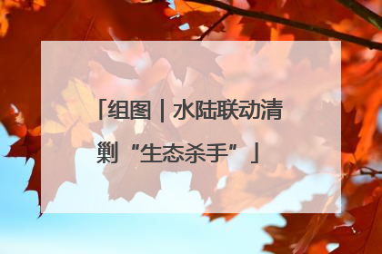 组图｜水陆联动清剿“生态杀手”