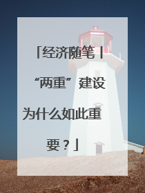 经济随笔丨“两重”建设为什么如此重要？