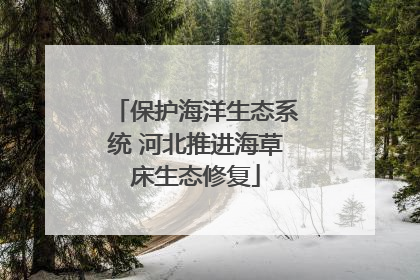 保护海洋生态系统 河北推进海草床生态修复