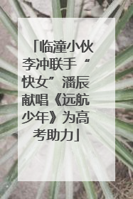 临潼小伙李冲联手“快女”潘辰献唱《远航少年》为高考助力
