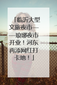 临沂大型文旅夜市——琅琊夜市开业！河东再添网红打卡地！