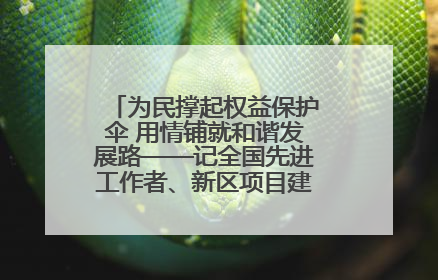 为民撑起权益保护伞 用情铺就和谐发展路——记全国先进工作者、新区项目建设中心干部卢小勇
