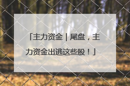 主力资金｜尾盘，主力资金出逃这些股！