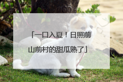 一口入夏！日照前山前村的甜瓜熟了