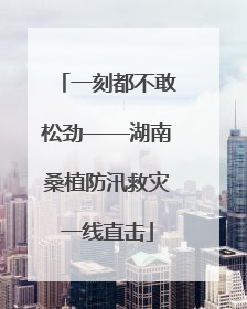 一刻都不敢松劲——湖南桑植防汛救灾一线直击