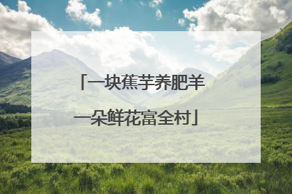 一块蕉芋养肥羊 一朵鲜花富全村