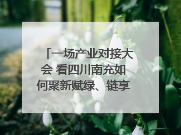 一场产业对接大会 看四川南充如何聚新赋绿、链享未来｜打赢经济发展翻身仗