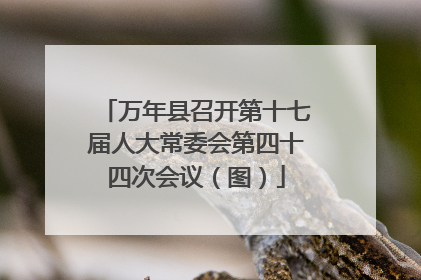 万年县召开第十七届人大常委会第四十四次会议（图）