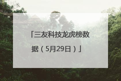 三友科技龙虎榜数据（5月29日）