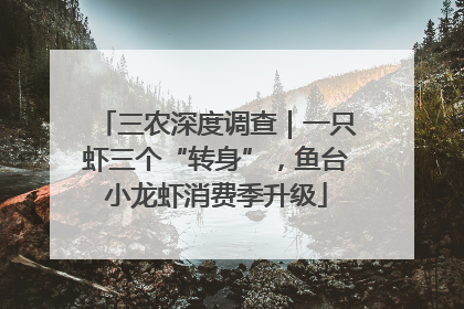 三农深度调查｜一只虾三个“转身”，鱼台小龙虾消费季升级