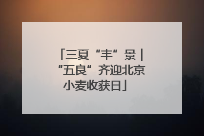 三夏“丰”景｜“五良”齐迎北京小麦收获日