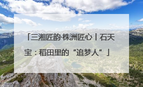 三湘匠韵·株洲匠心丨石天宝：稻田里的“追梦人”