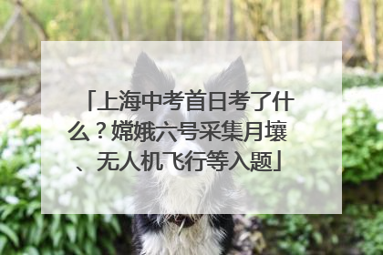 上海中考首日考了什么？嫦娥六号采集月壤、无人机飞行等入题
