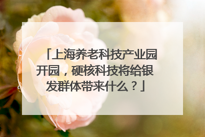 上海养老科技产业园开园，硬核科技将给银发群体带来什么？