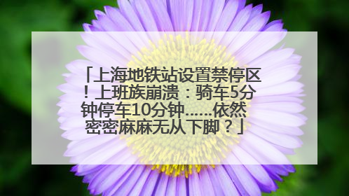 上海地铁站设置禁停区！上班族崩溃：骑车5分钟停车10分钟……依然密密麻麻无从下脚？