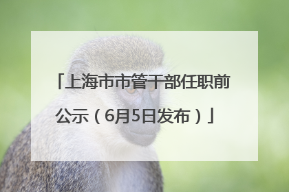 上海市市管干部任职前公示（6月5日发布）