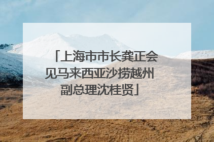 上海市市长龚正会见马来西亚沙捞越州副总理沈桂贤