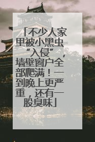 不少人家里被小黑虫“入侵”，墙壁窗户全部爬满！一到晚上更严重，还有一股臭味