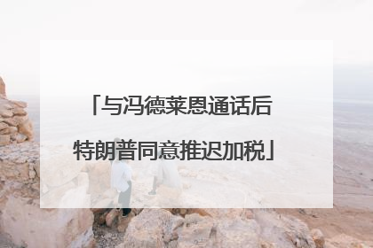 与冯德莱恩通话后 特朗普同意推迟加税