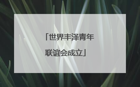 世界丰泽青年联谊会成立